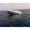Bilge smart monitor